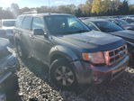 Ford Escape 2011