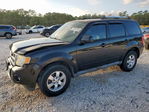 Ford Escape 2012
