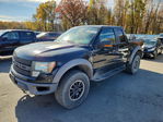 Ford F-150 2010