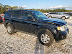 Ford Escape 2012