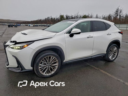 Lexus NX 2025 - Image 1 of 13
