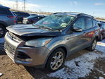 Ford Escape 2013