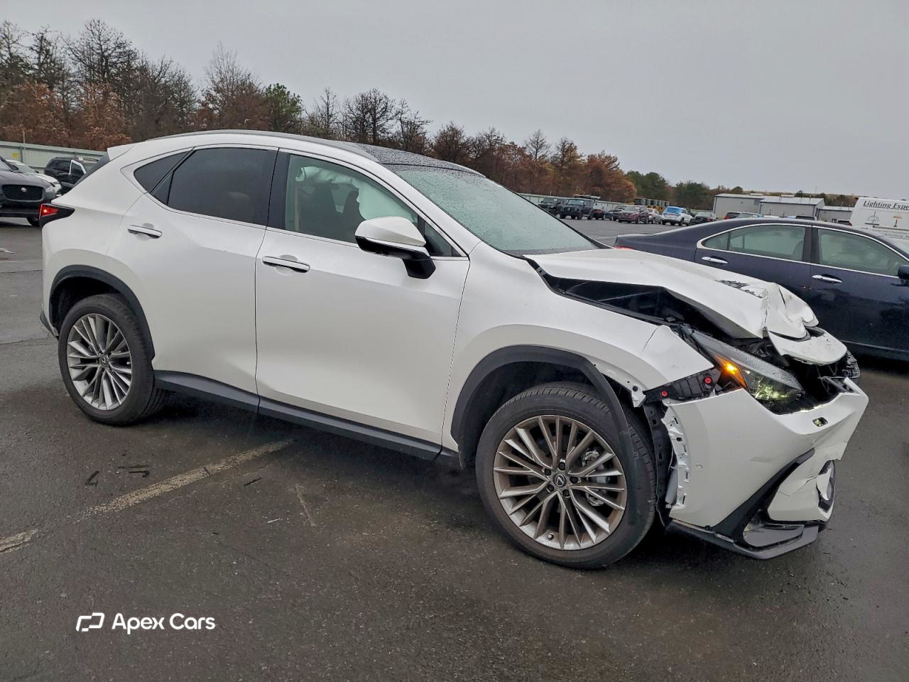 Lexus NX 2025