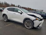 Lexus NX 2025