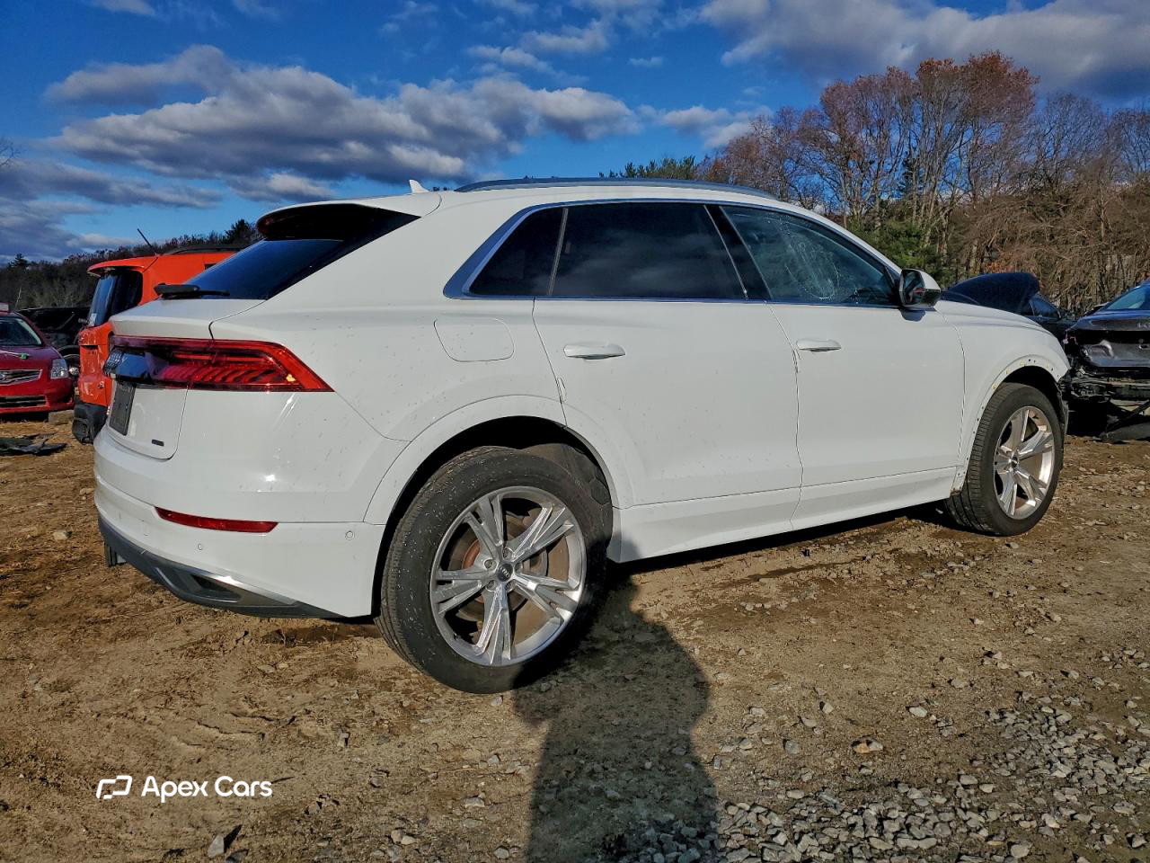 Audi Q8 2019