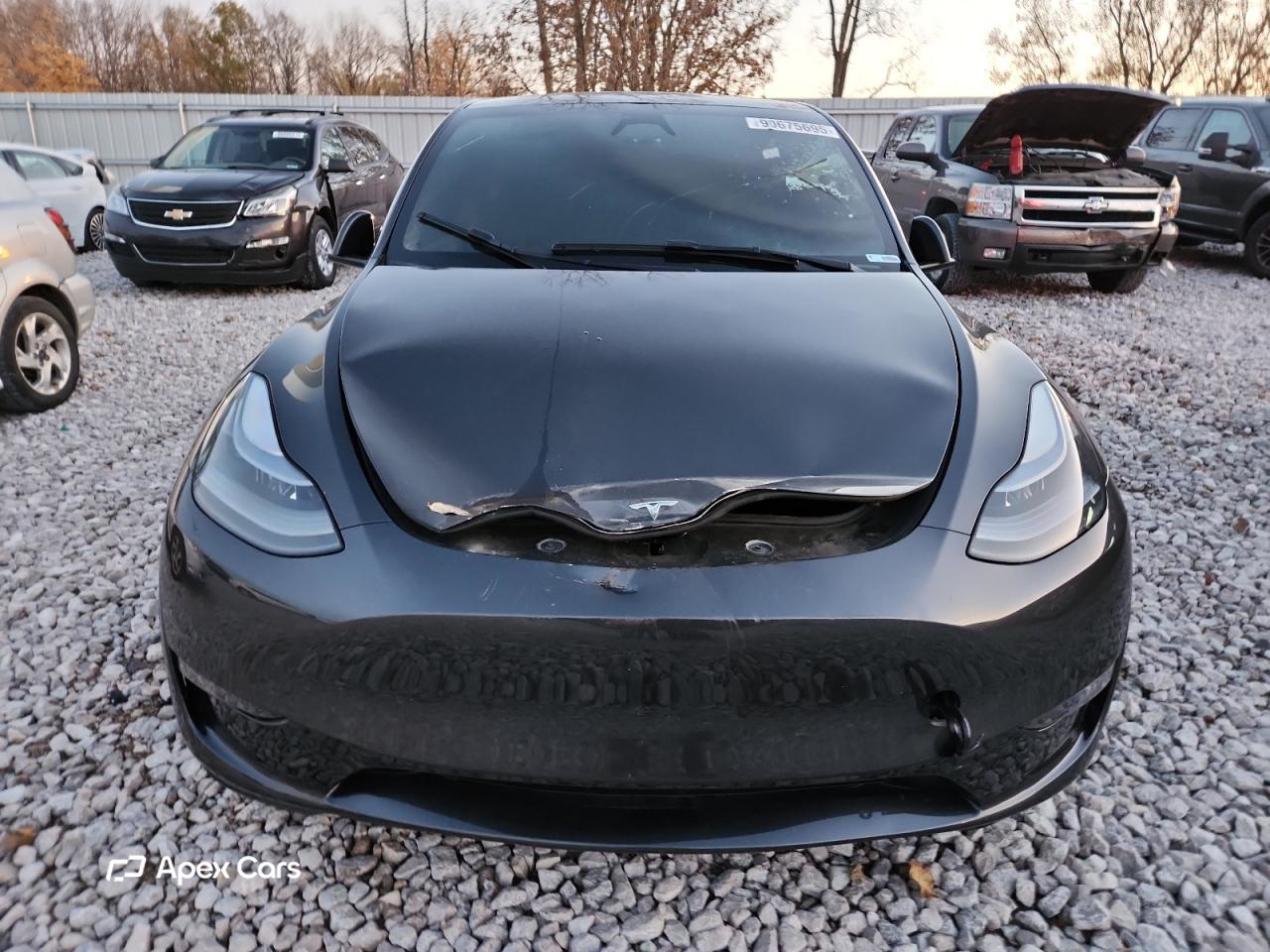 Tesla Model Y 2024