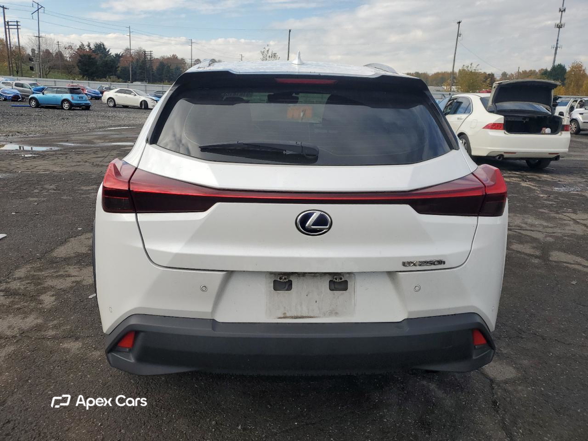 Lexus UX 2019