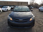 Toyota Corolla 2011