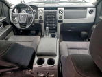 Ford F-150 2009