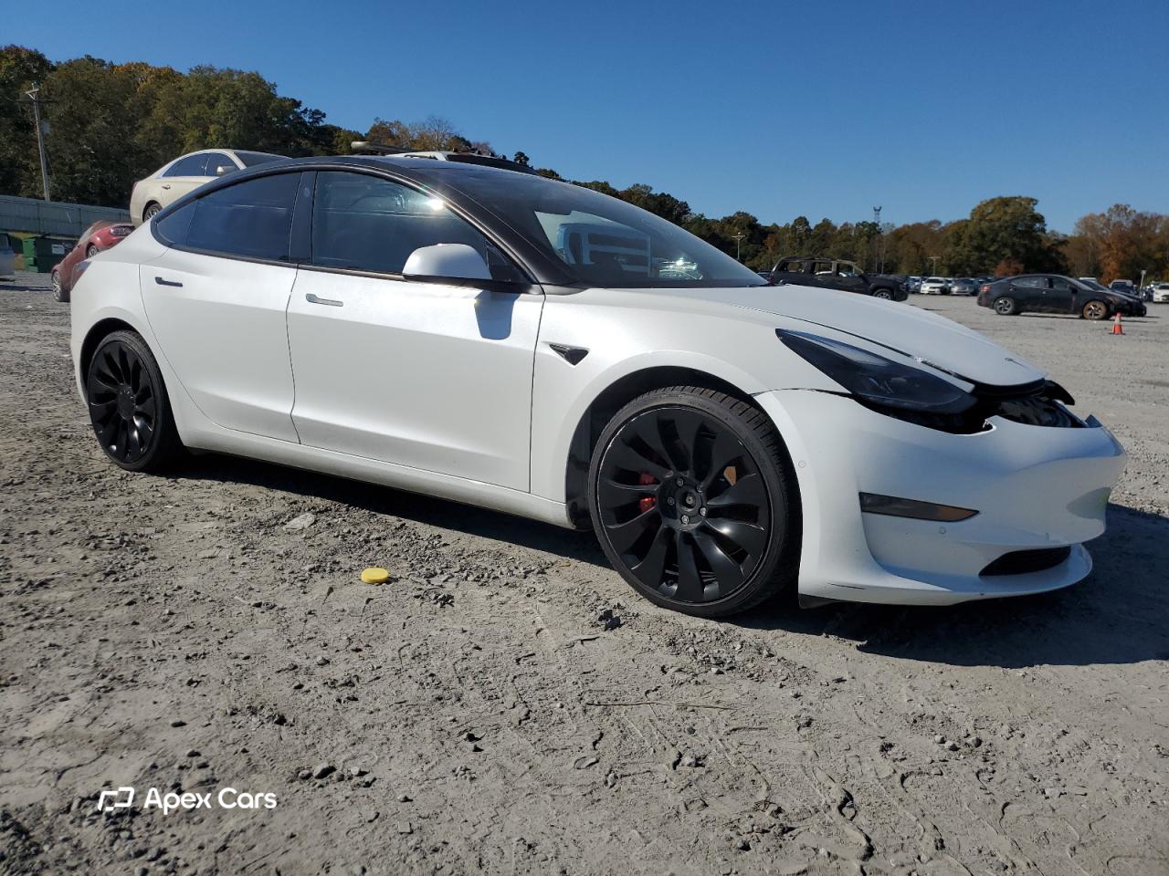 Tesla Model 3 2022