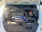 Volkswagen Beetle 2013