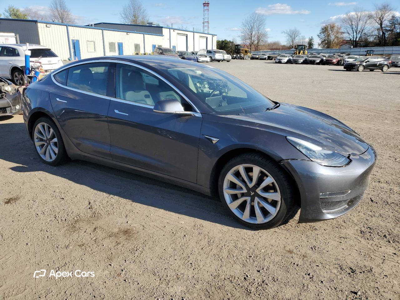 Tesla Model 3 2019