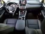 Lexus NX 2020