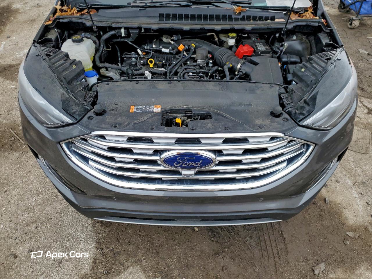 Ford Edge 2024