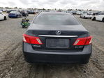 Lexus ES 2008