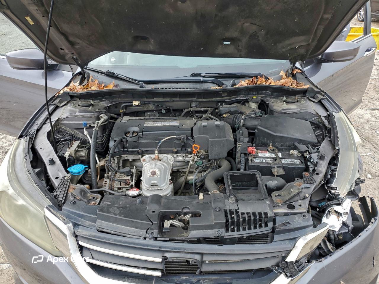 Honda Accord 2013