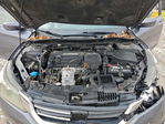 Honda Accord 2013