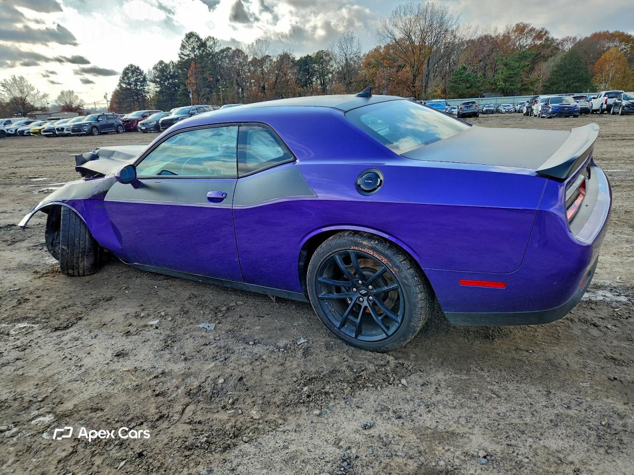 Dodge Challenger 2019