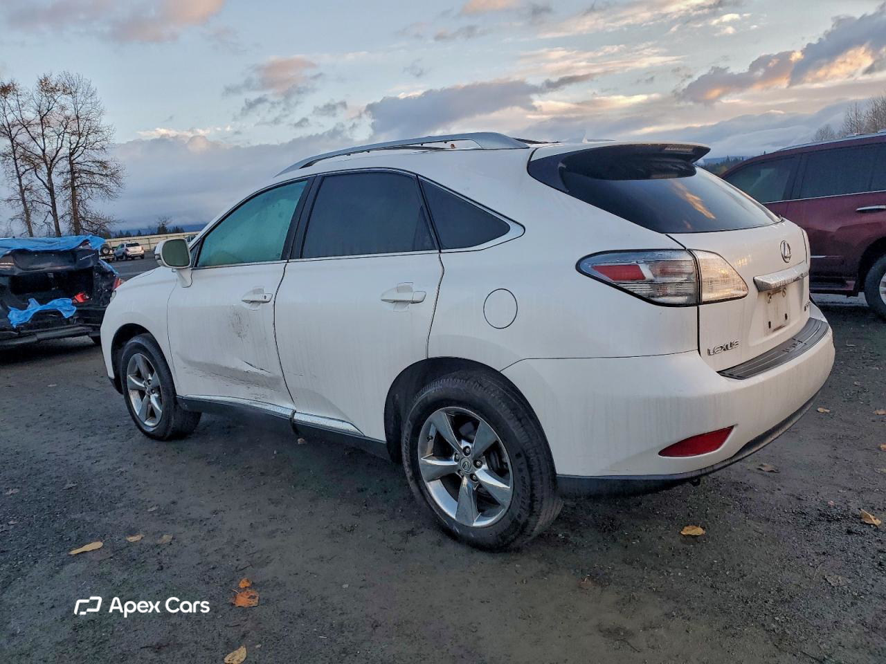 Lexus RX 2010