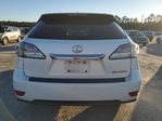 Lexus RX 2011