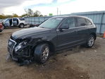 Audi Q5 2011