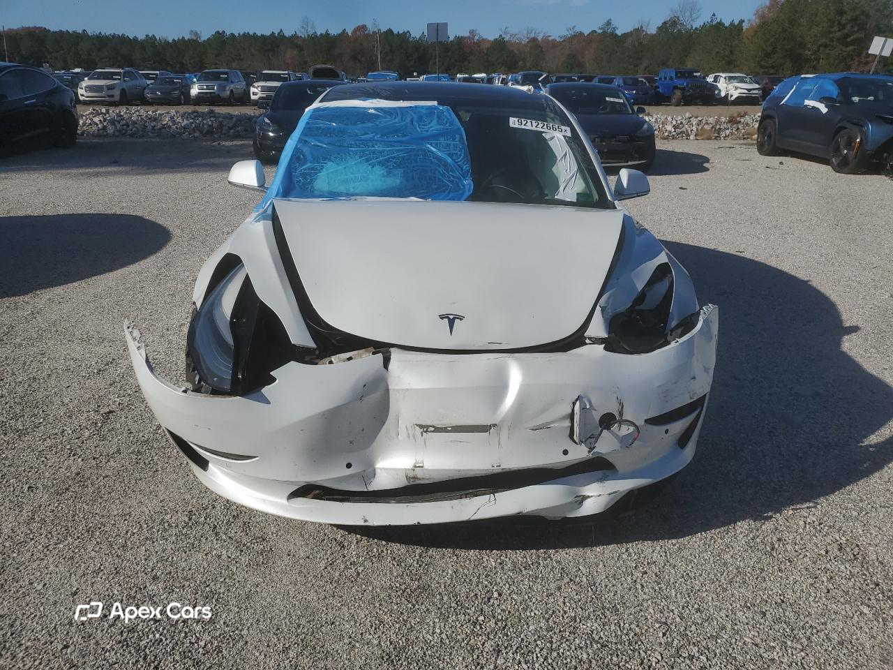 Tesla Model 3 2019
