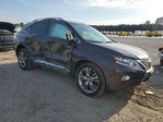 Lexus RX 2013