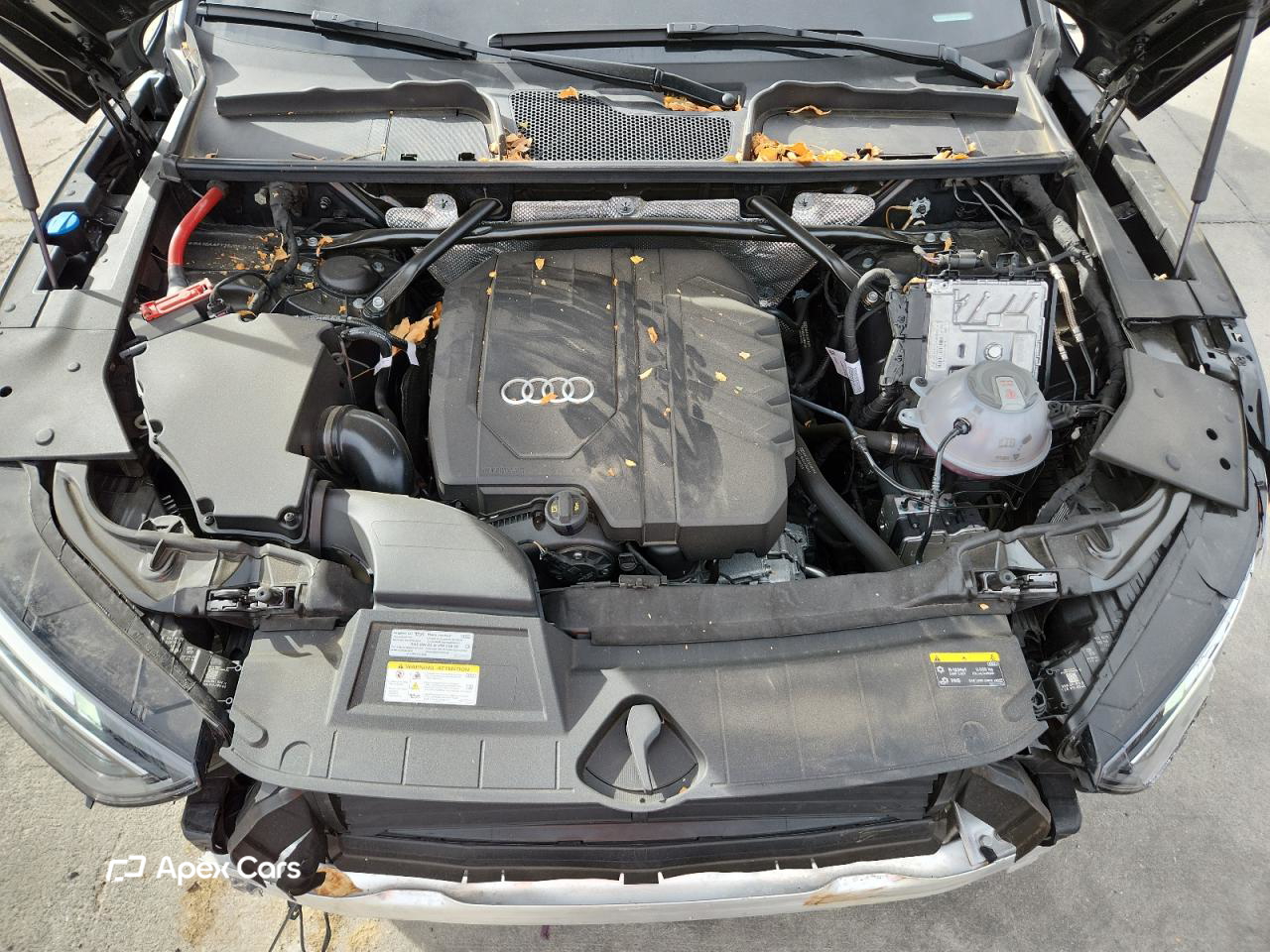 Audi Q5 2025