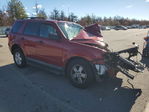 Ford Escape 2011