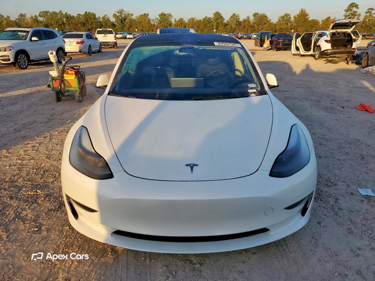 Tesla Model 3 2023
