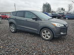 Ford Escape 2016