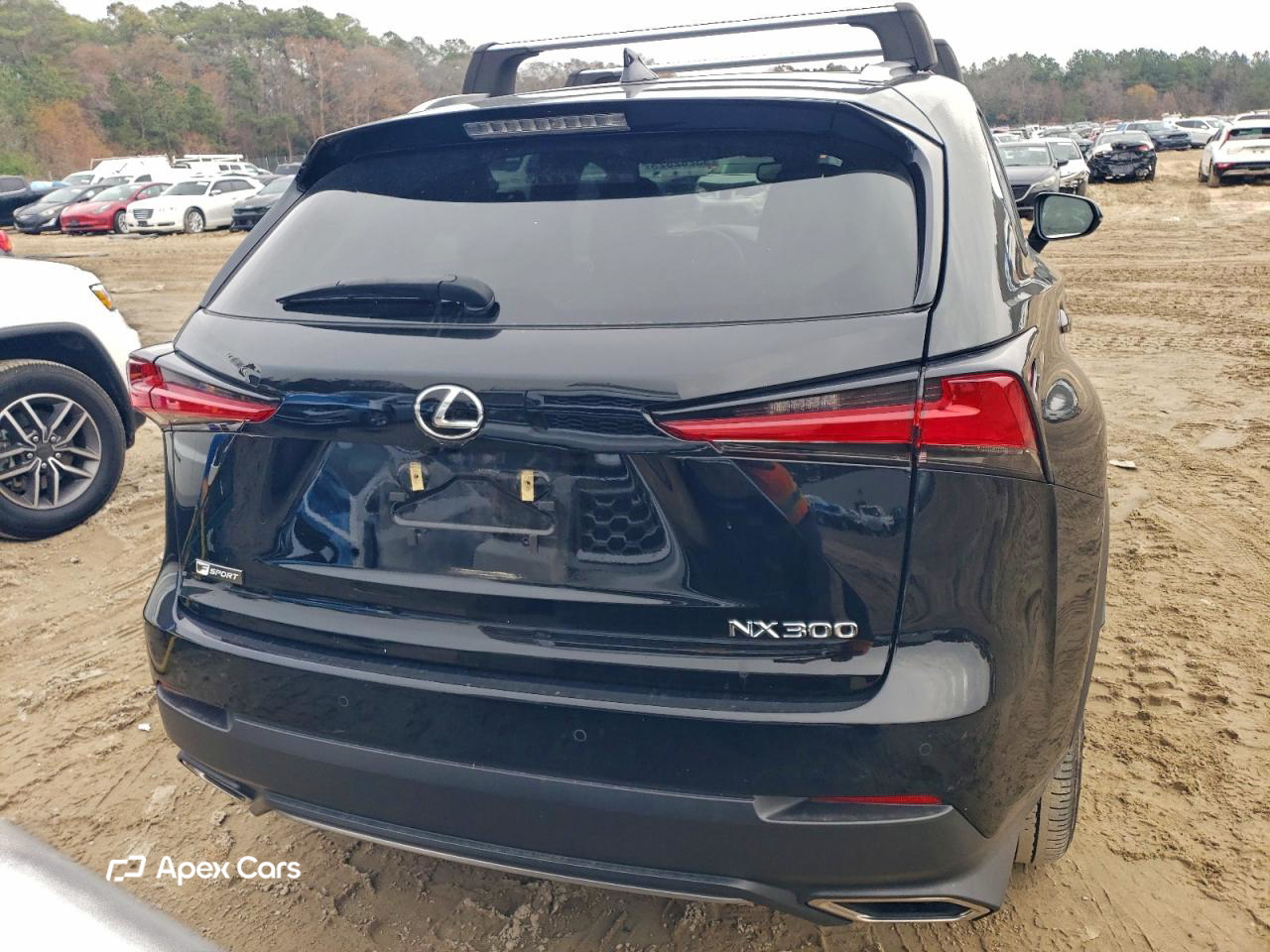 Lexus NX 2021