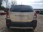 Chevrolet Captiva 2013