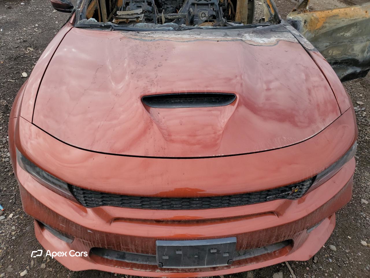 Dodge Charger 2022