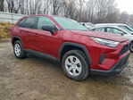 Toyota RAV 4 2025