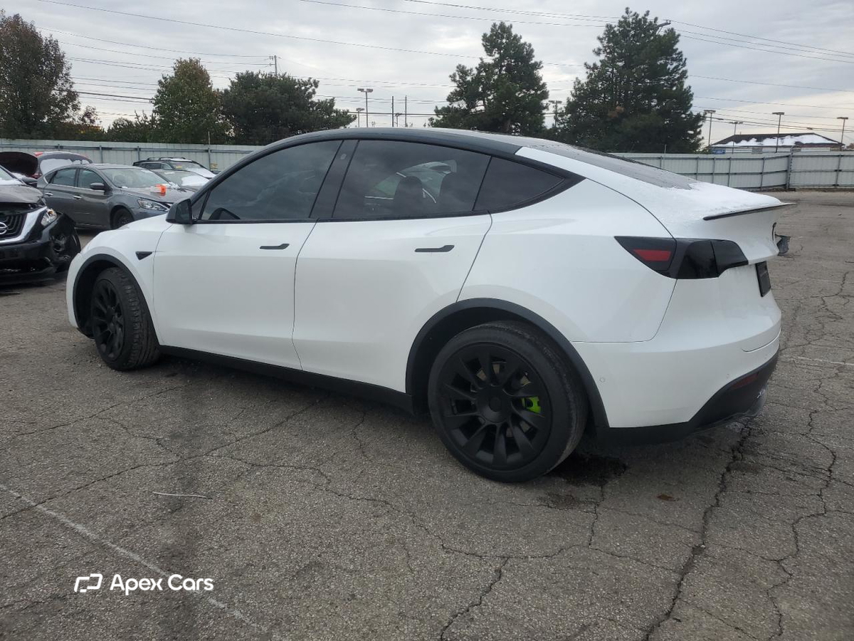 Tesla Model Y 2021