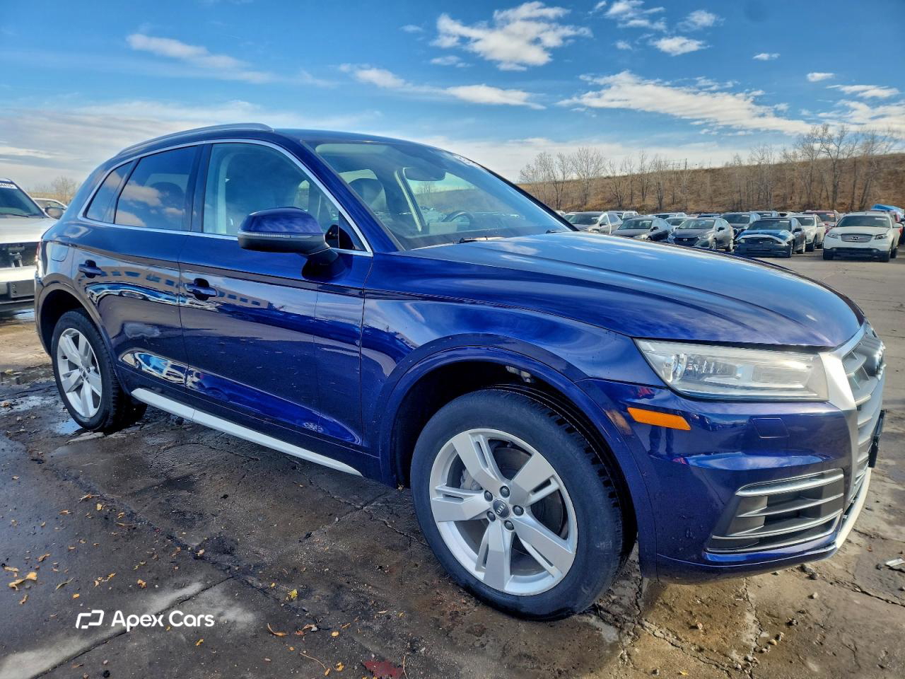Audi Q5 2019