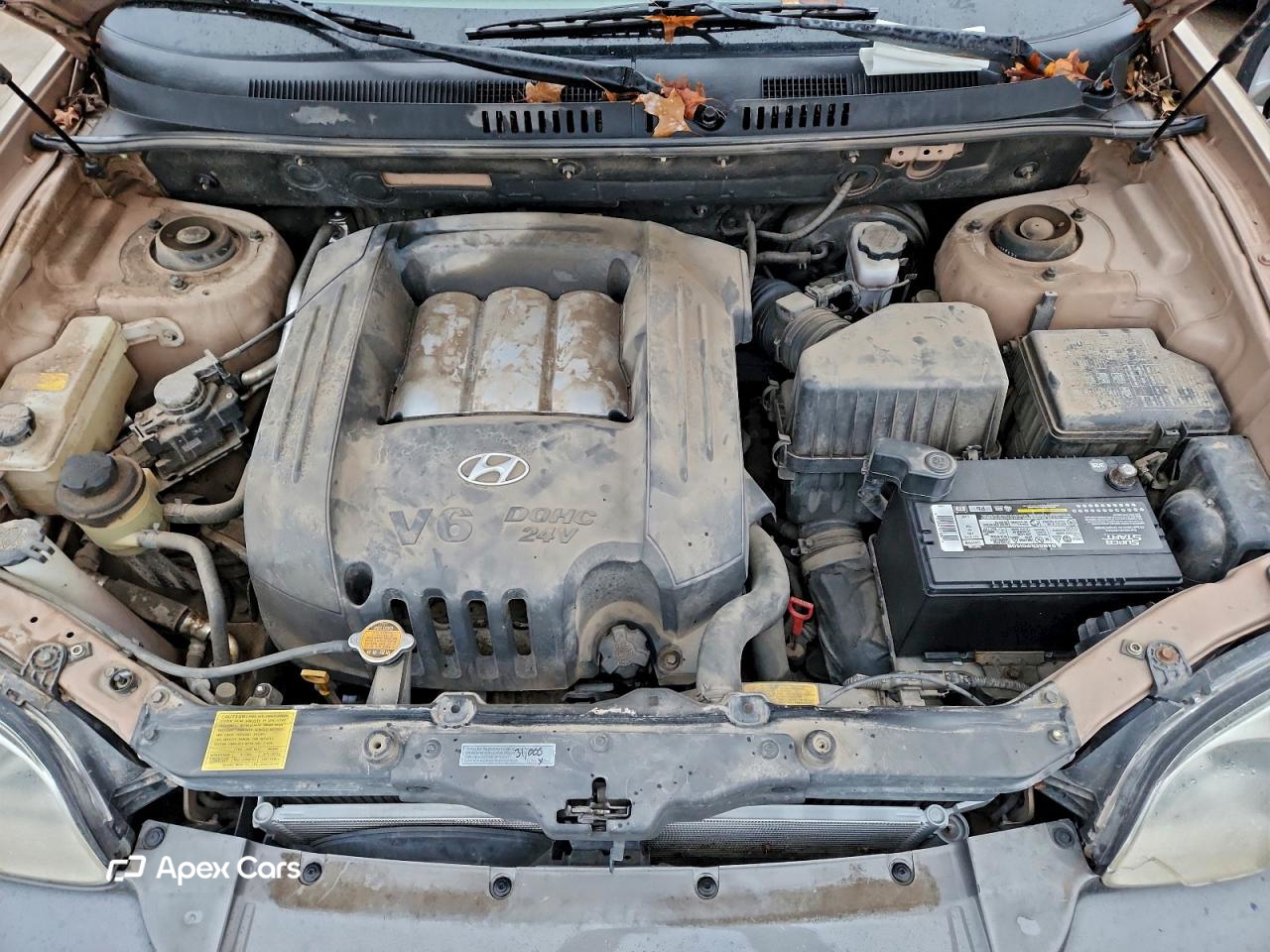 Hyundai Santa Fe 2004