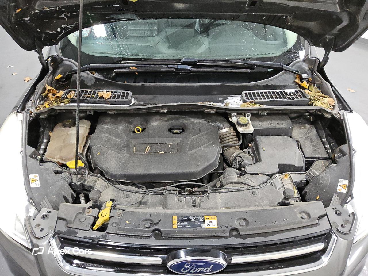 Ford Escape 2016