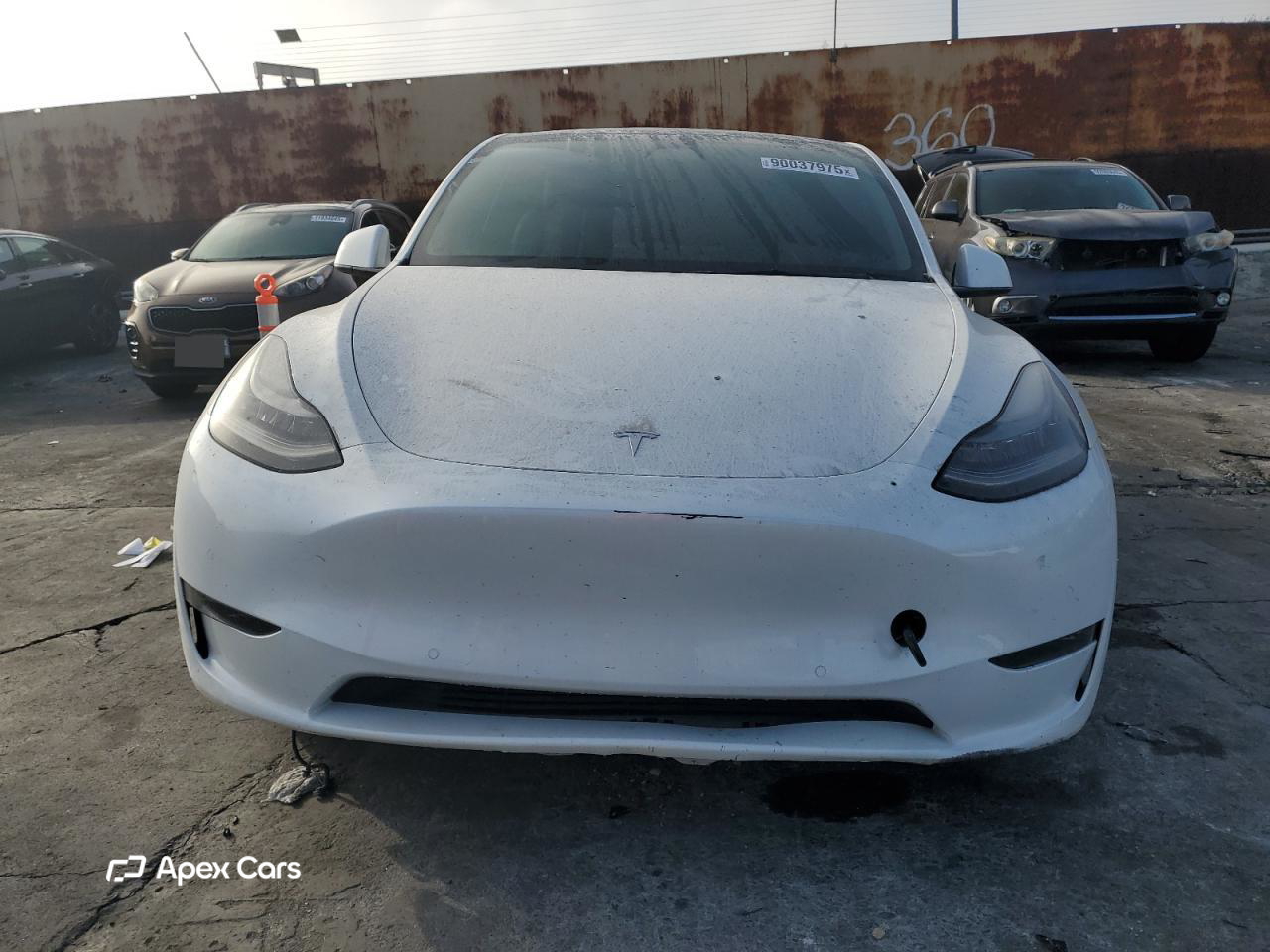 Tesla Model Y 2021