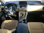 Lexus NX 2019