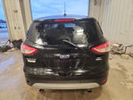 Ford Escape 2016