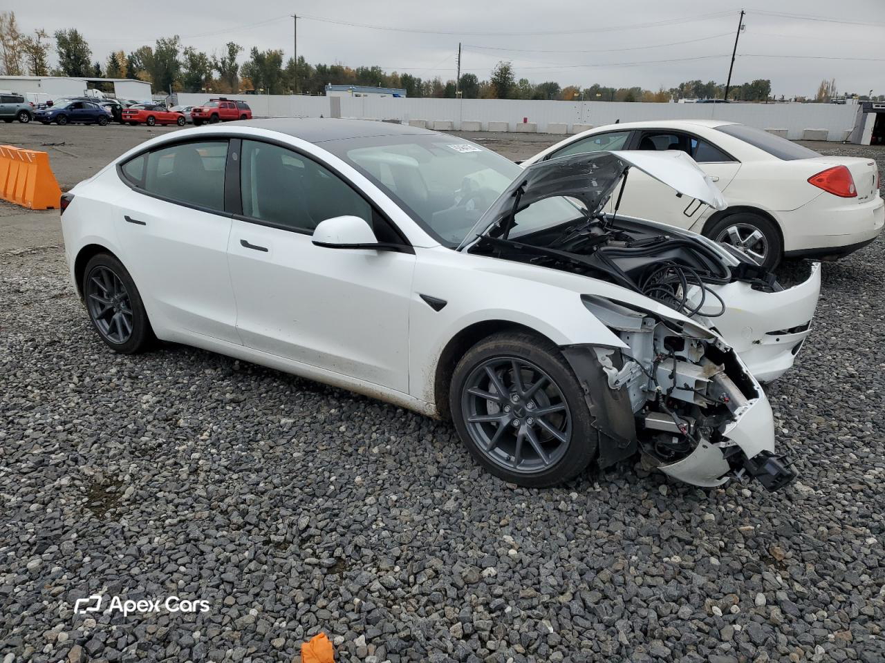 Tesla Model 3 2021