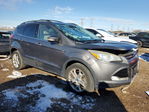 Ford Escape 2013