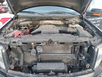 Ford F-150 2013