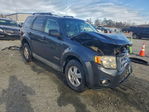Ford Escape 2008