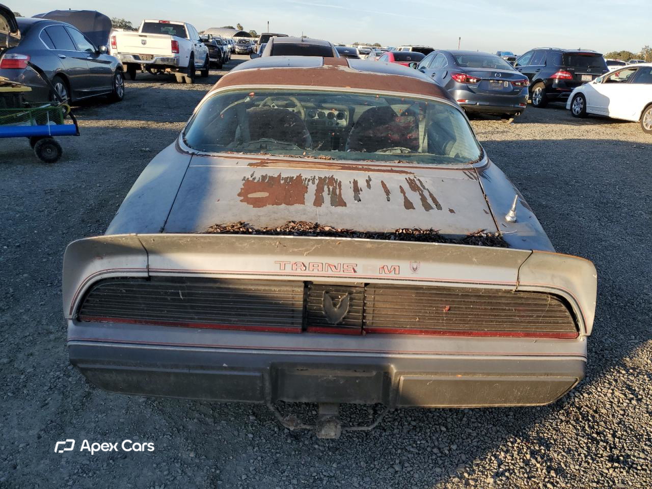 Pontiac Firebird 1979
