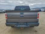Ford F-150 2009