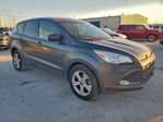 Ford Escape 2015