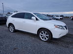 Lexus RX 2011